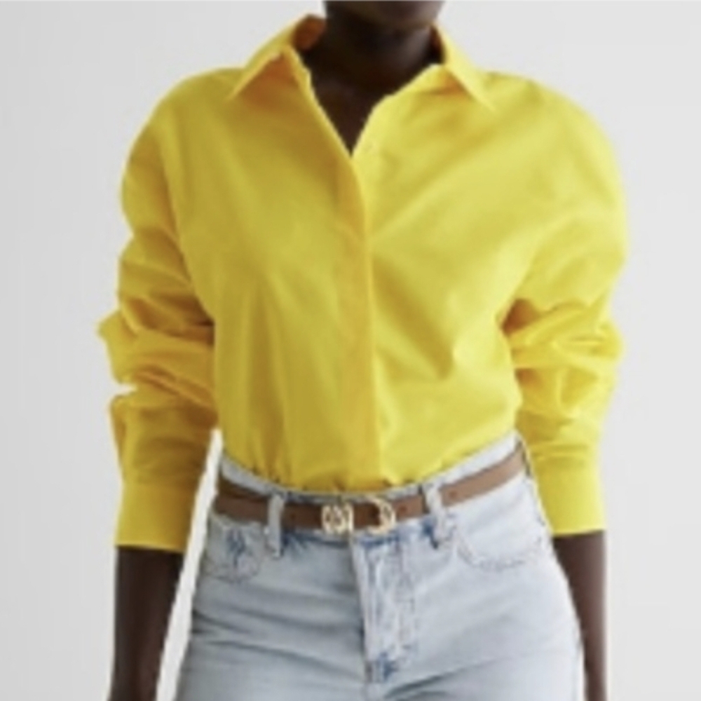 EXPRESS NWT Poplin Boyfriend Portofino Shirt